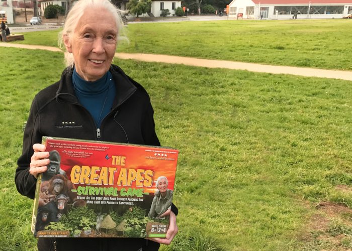 This is a photo of Dr. Jane Goodall holding the Great Apes Survival Game